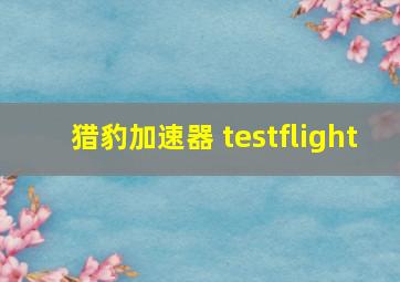 猎豹加速器 testflight